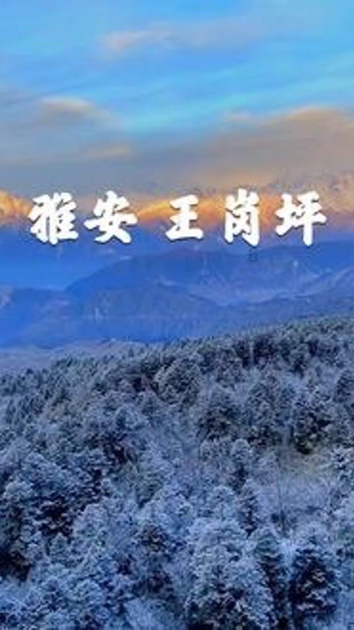 逃离啦啦队员的家