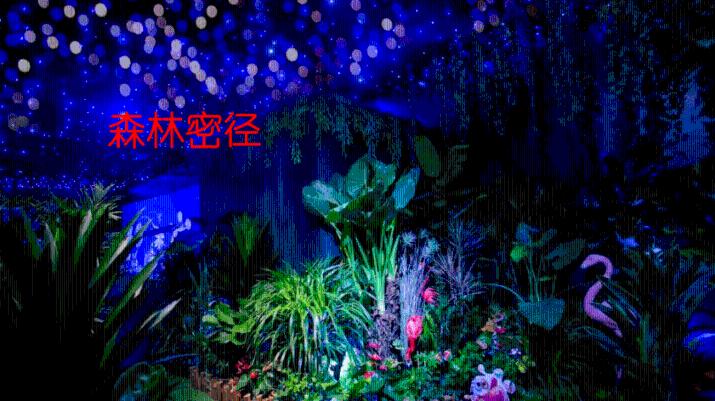 逃出昏暗的房子